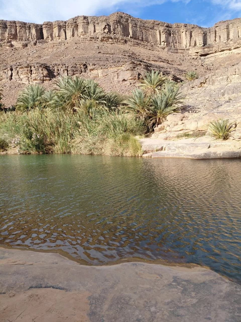 Hoggar