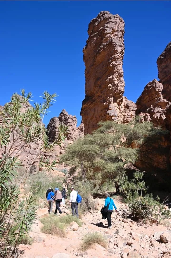 Voyageurs dans un paysage saharien