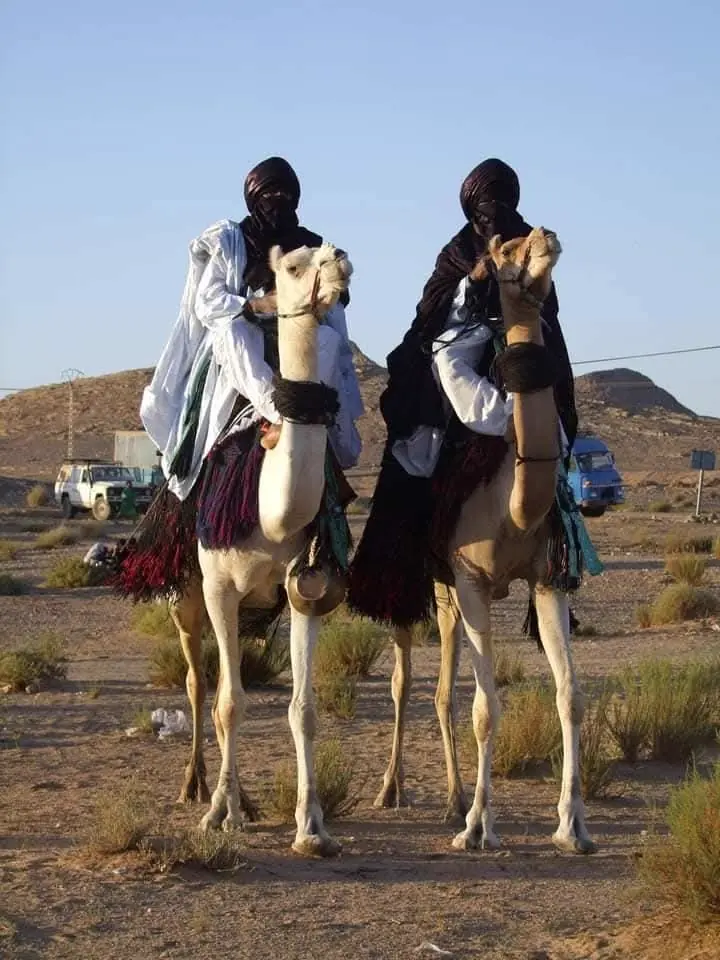 Touaregs et dromadaires autour de Djanet
