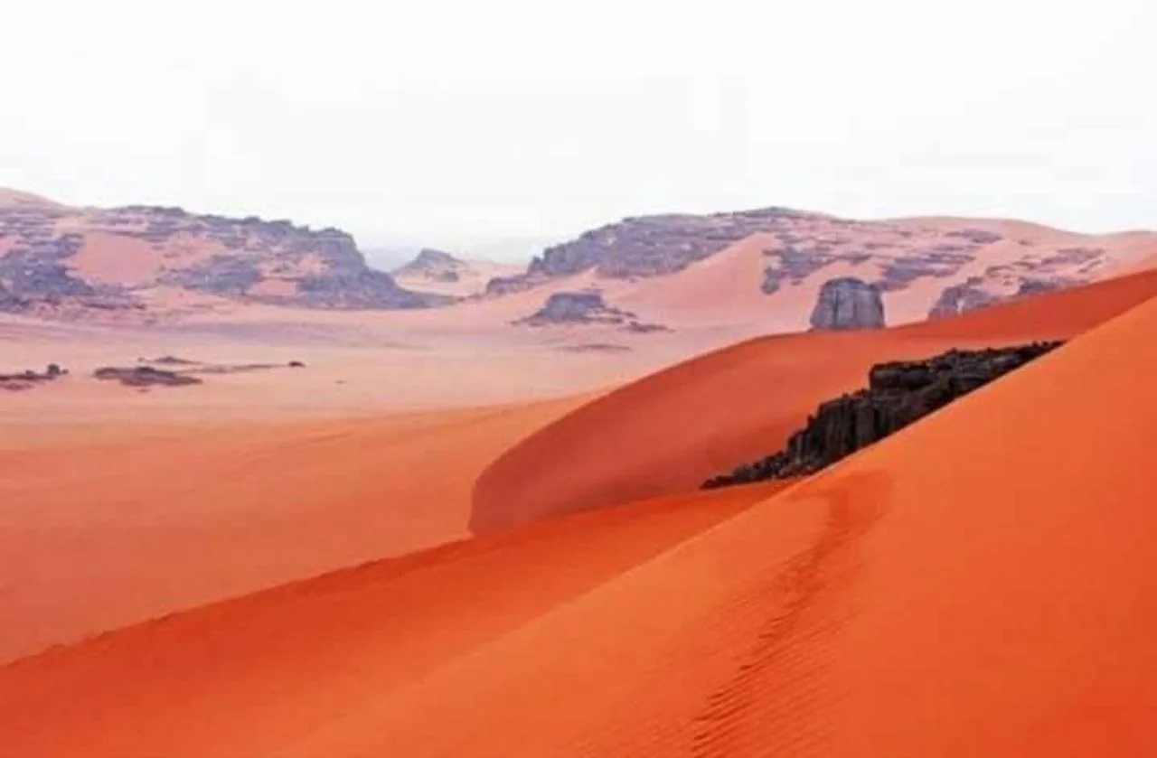 Paysages